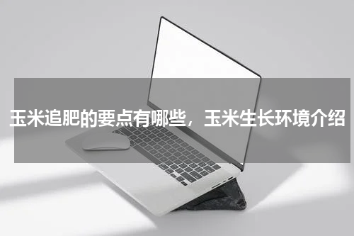 玉米追肥的要点有哪些，玉米生长环境介绍