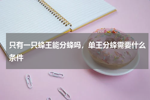 只有一只蜂王能分蜂吗，单王分蜂需要什么条件