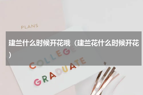 建兰什么时候开花哦（建兰花什么时候开花）