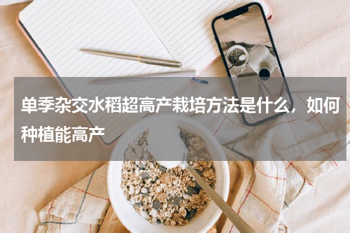 单季杂交水稻超高产栽培方法是什么，如何种植能高产