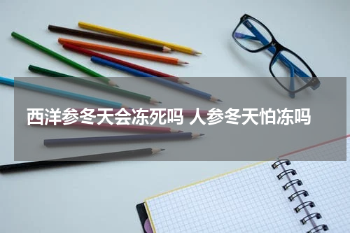 西洋参冬天会冻死吗 人参冬天怕冻吗