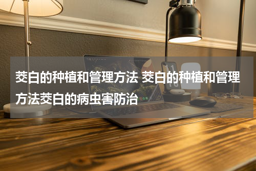 茭白的种植和管理方法 茭白的种植和管理方法茭白的病虫害防治