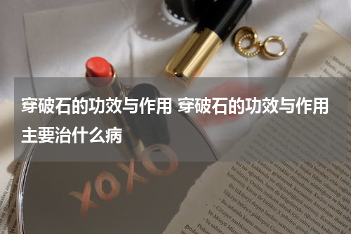 穿破石的功效与作用 穿破石的功效与作用主要治什么病