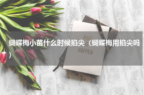 蝴蝶梅小苗什么时候掐尖（蝴蝶梅用掐尖吗）