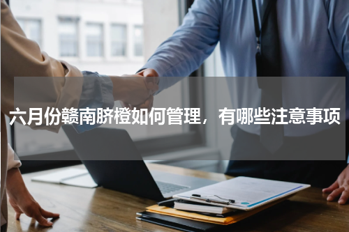 六月份赣南脐橙如何管理，有哪些注意事项