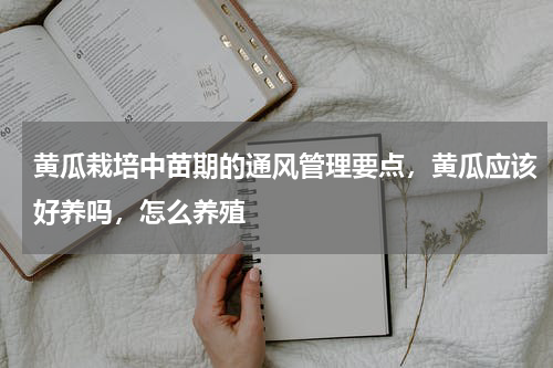 黄瓜栽培中苗期的通风管理要点，黄瓜应该好养吗，怎么养殖