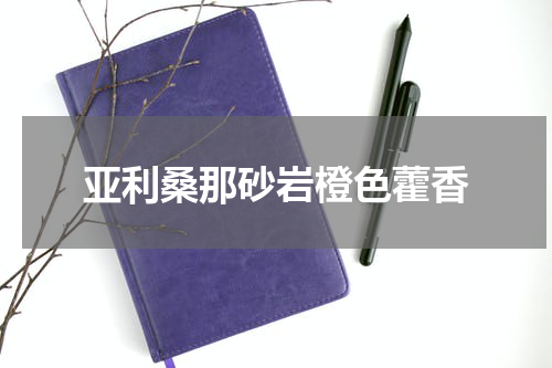 亚利桑那砂岩橙色藿香