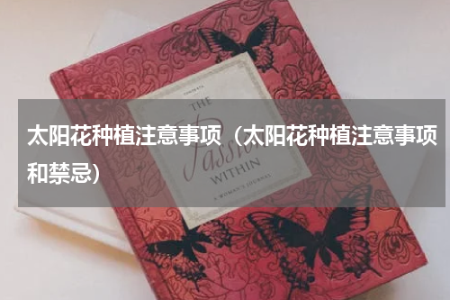 太阳花种植注意事项（太阳花种植注意事项和禁忌）