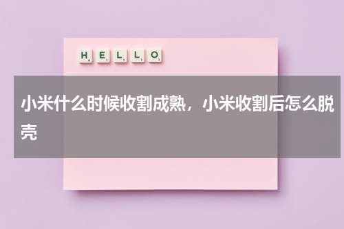 小米什么时候收割成熟，小米收割后怎么脱壳
