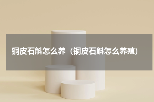 铜皮石斛怎么养（铜皮石斛怎么养殖）