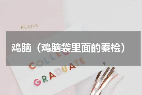 鸡脑（鸡脑袋里面的秦桧）