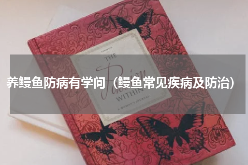 养鳗鱼防病有学问（鳗鱼常见疾病及防治）