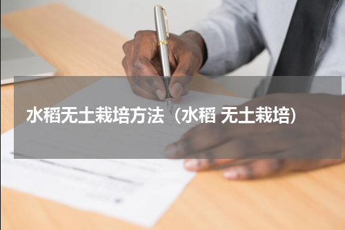 水稻无土栽培方法（水稻 无土栽培）