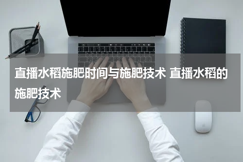 直播水稻施肥时间与施肥技术 直播水稻的施肥技术