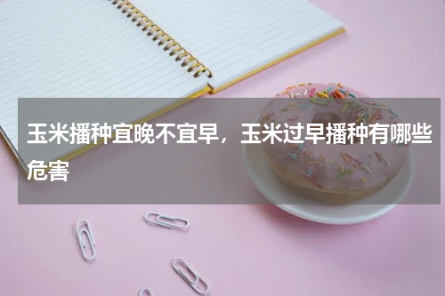 玉米播种宜晚不宜早，玉米过早播种有哪些危害
