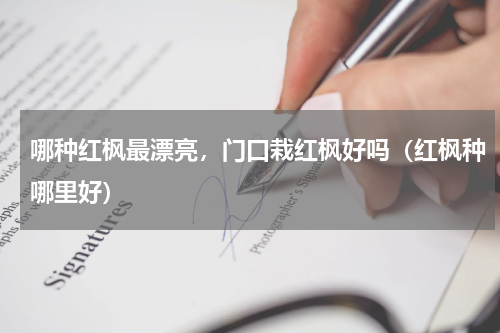 哪种红枫最漂亮，门口栽红枫好吗（红枫种哪里好）