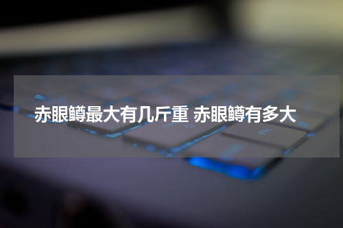 赤眼鳟最大有几斤重 赤眼鳟有多大