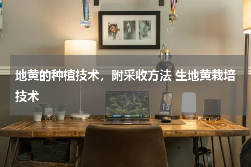 地黄的种植技术，附采收方法 生地黄栽培技术