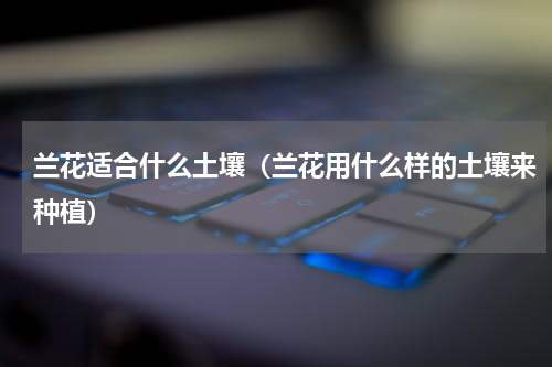 兰花适合什么土壤（兰花用什么样的土壤来种植）