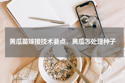 黄瓜苗嫁接技术要点，黄瓜怎处理种子