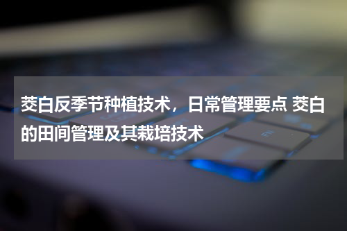 茭白反季节种植技术，日常管理要点 茭白的田间管理及其栽培技术