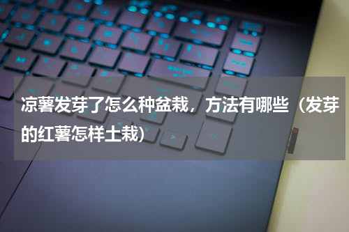 凉薯发芽了怎么种盆栽，方法有哪些（发芽的红薯怎样土栽）
