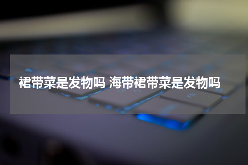 裙带菜是发物吗 海带裙带菜是发物吗