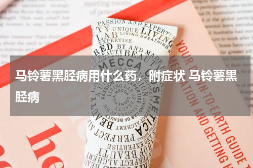 马铃薯黑胫病用什么药，附症状 马铃薯黒胫病