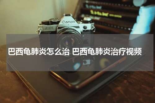 巴西龟肺炎怎么治 巴西龟肺炎治疗视频
