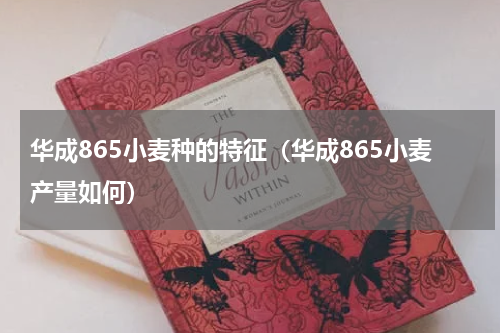 华成865小麦种的特征（华成865小麦产量如何）