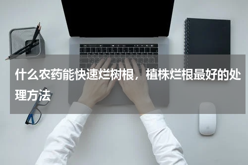 什么农药能快速烂树根，植株烂根最好的处理方法