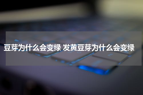 豆芽为什么会变绿 发黄豆芽为什么会变绿