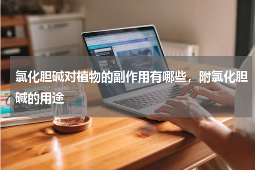氯化胆碱对植物的副作用有哪些，附氯化胆碱的用途