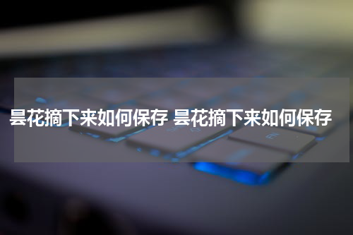 昙花摘下来如何保存 昙花摘下来如何保存