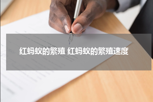 红蚂蚁的繁殖 红蚂蚁的繁殖速度