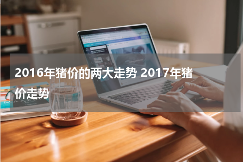 2016年猪价的两大走势 2017年猪价走势