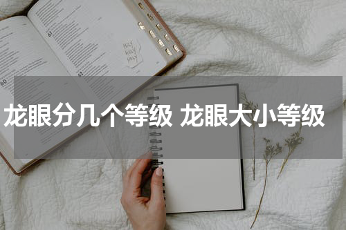 龙眼分几个等级 龙眼大小等级