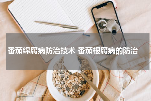 番茄绵腐病防治技术 番茄根腐病的防治