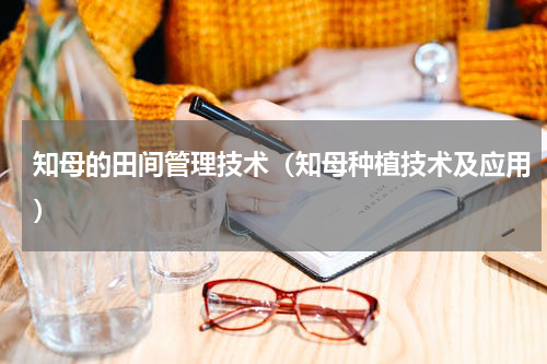 知母的田间管理技术（知母种植技术及应用）