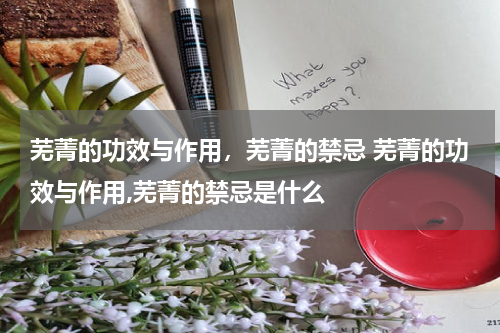 芜菁的功效与作用，芜菁的禁忌 芜菁的功效与作用,芜菁的禁忌是什么