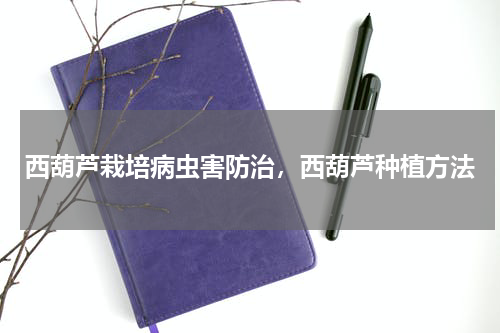 西葫芦栽培病虫害防治，西葫芦种植方法