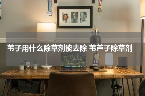 苇子用什么除草剂能去除 苇芦子除草剂