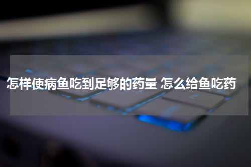 怎样使病鱼吃到足够的药量 怎么给鱼吃药