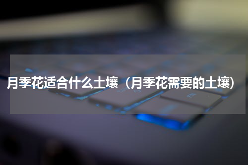 月季花适合什么土壤（月季花需要的土壤）