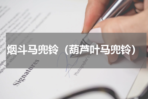 烟斗马兜铃（葫芦叶马兜铃）