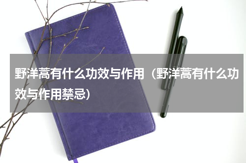 野洋蒿有什么功效与作用（野洋蒿有什么功效与作用禁忌）