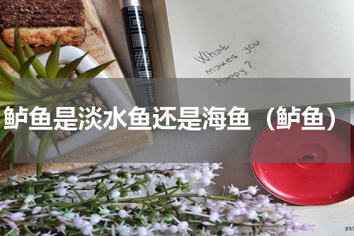 鲈鱼是淡水鱼还是海鱼（鲈鱼）