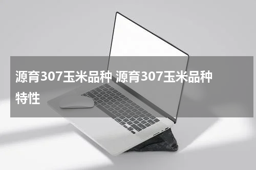 源育307玉米品种 源育307玉米品种特性