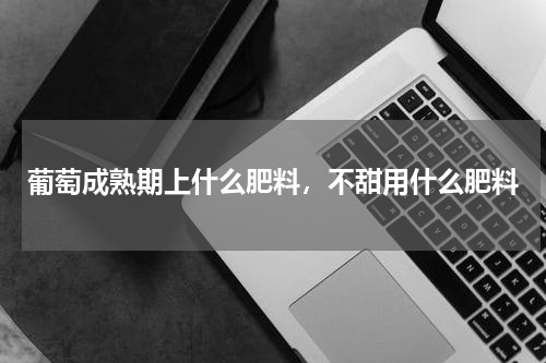 葡萄成熟期上什么肥料，不甜用什么肥料