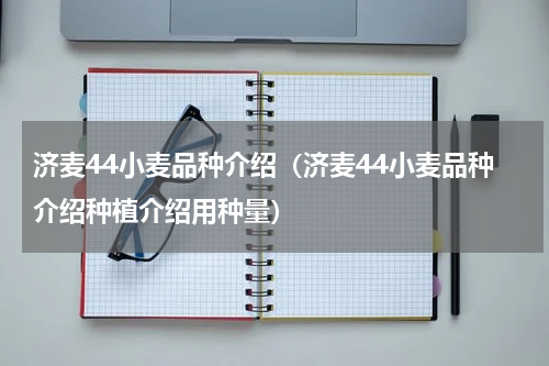 济麦44小麦品种介绍（济麦44小麦品种介绍种植介绍用种量）